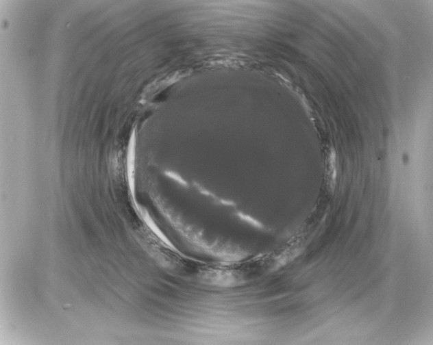 X0000085220276200704091939