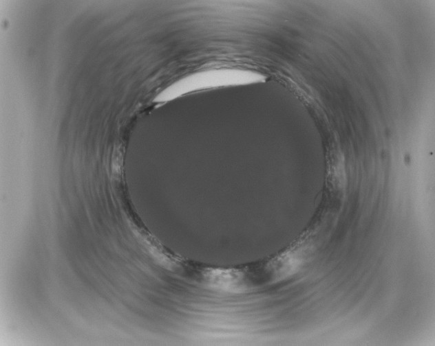 X0000085220277200704091939