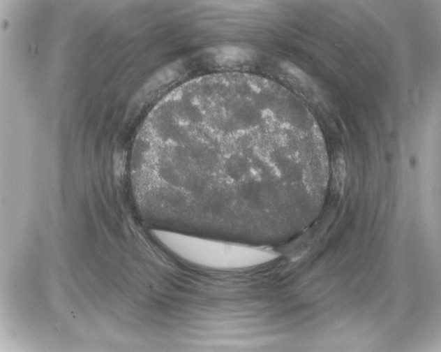 X0000085220278200704091939