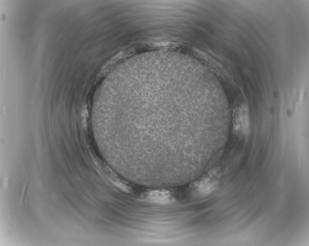 X0000085220279200704091939