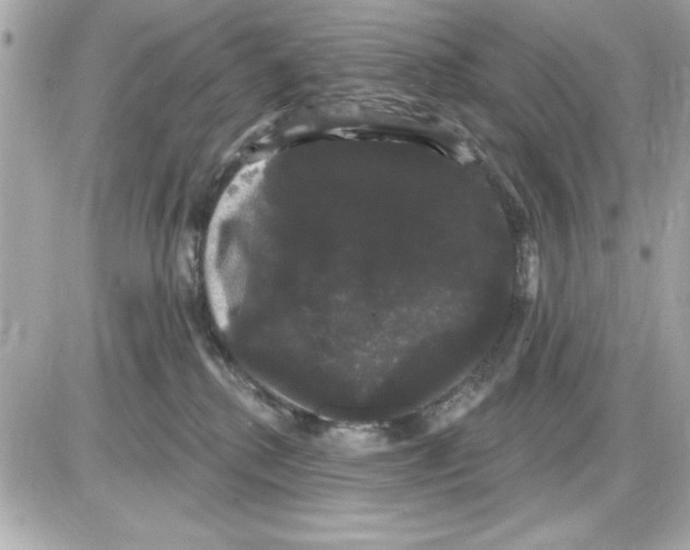 X0000085220280200704091939