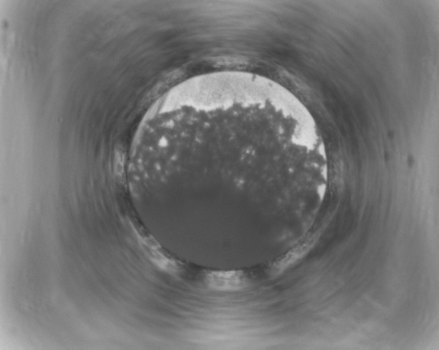 X0000085220281200704091939