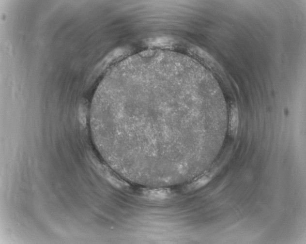 X0000085220282200704091939