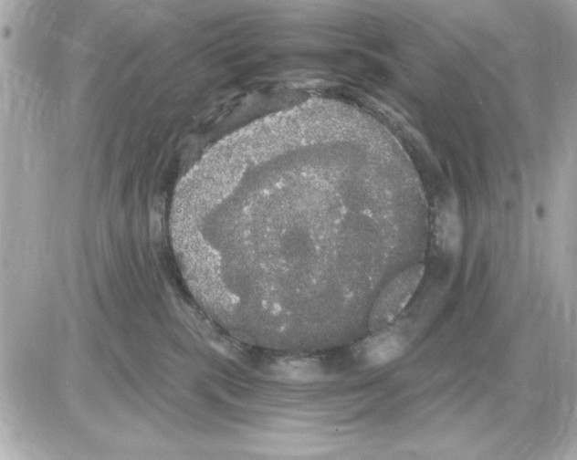 X0000085220283200704091940