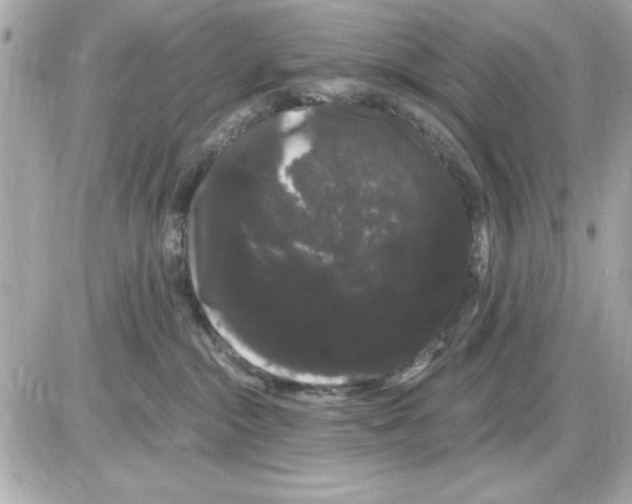 X0000085220284200704091940