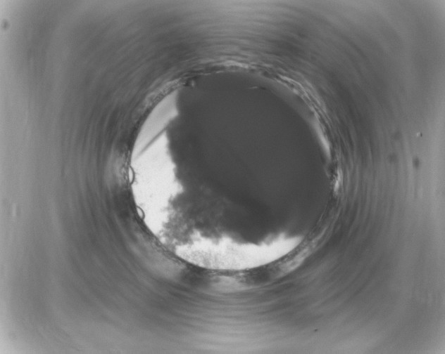 X0000085220285200704091940