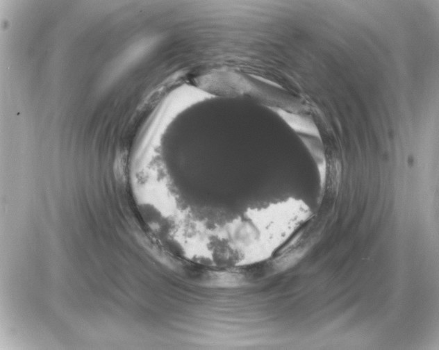 X0000085220286200704091940