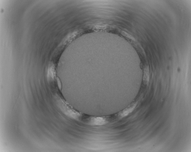 X0000085220287200704091940