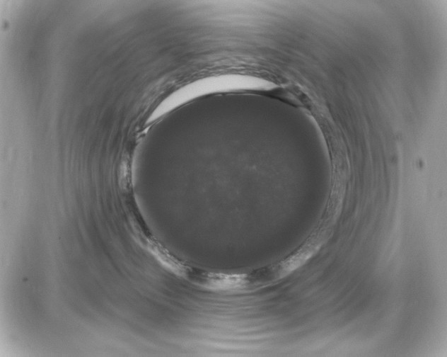 X0000085220288200704091940