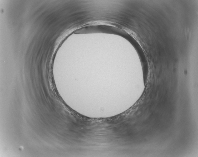 X0000085220289200704091939