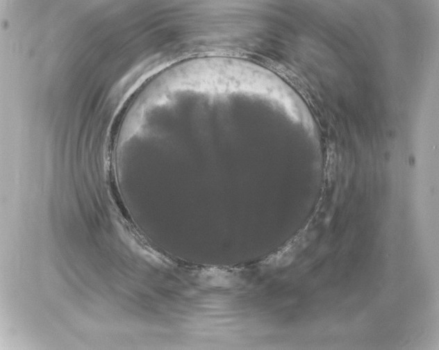 X0000085220290200704091939