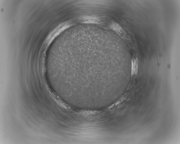 X0000085220291200704091939