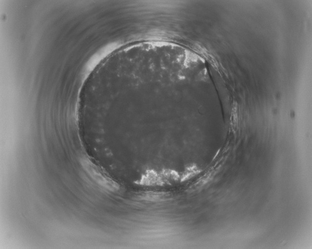 X0000085220292200704091939