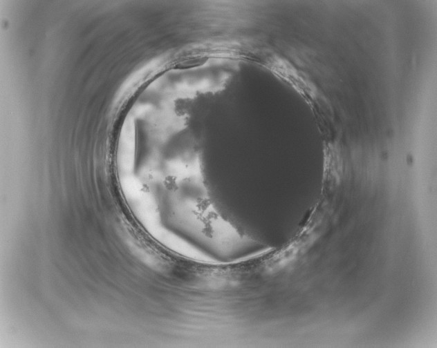 X0000085220293200704091939