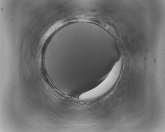 X0000085220295200704091939