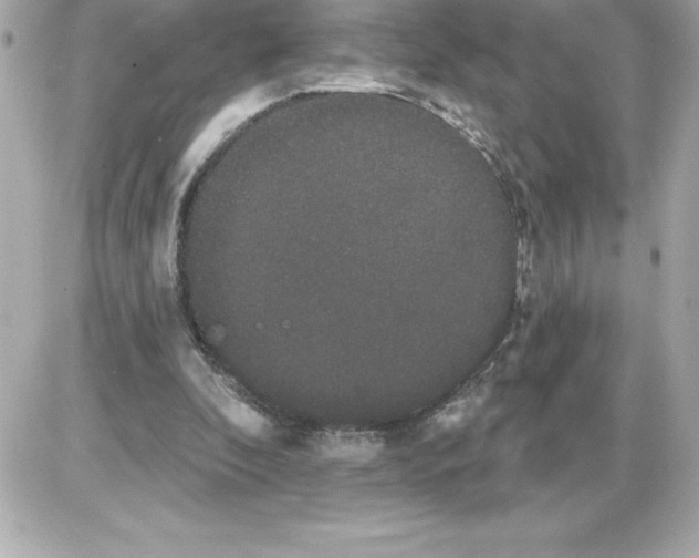 X0000085220296200704091939