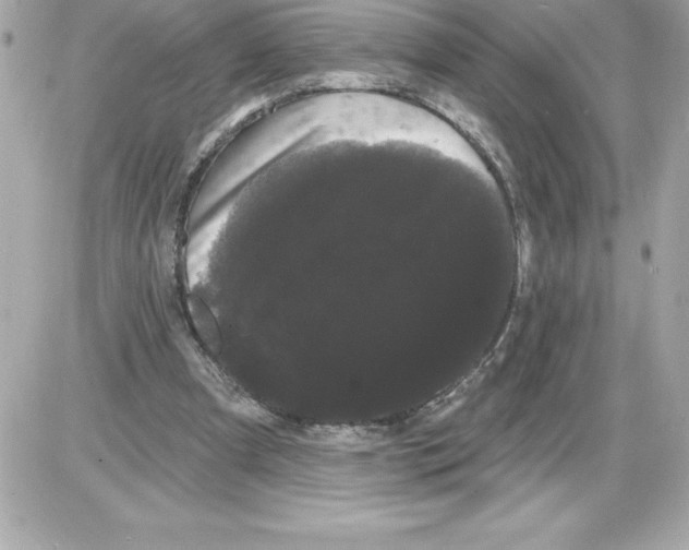 X0000085220297200704091939