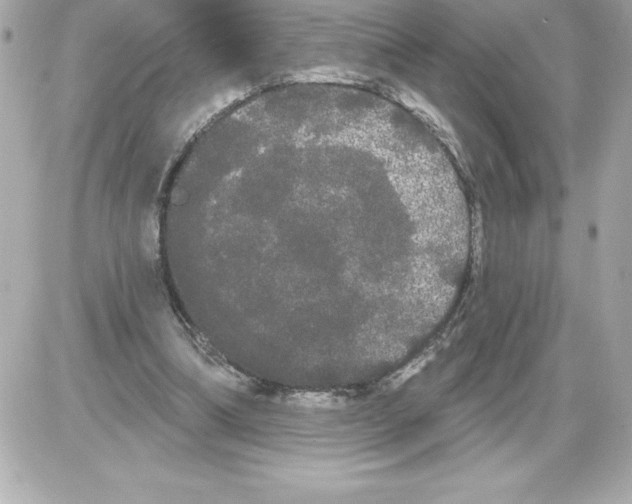 X0000085220298200704091939