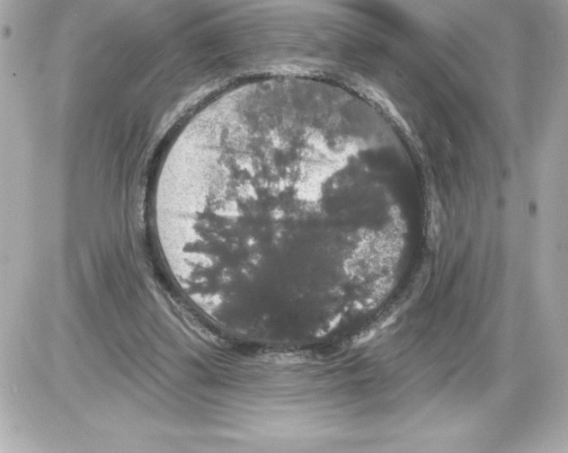 X0000085220299200704091939