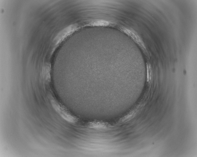 X0000085220300200704091939