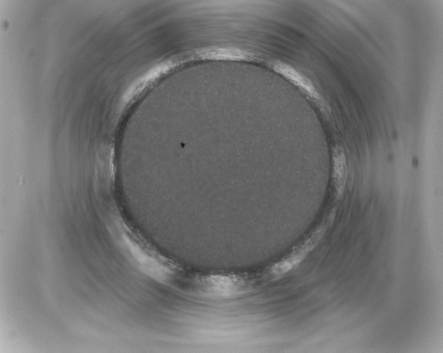 X0000085220302200704091939