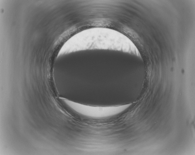 X0000085220303200704091939