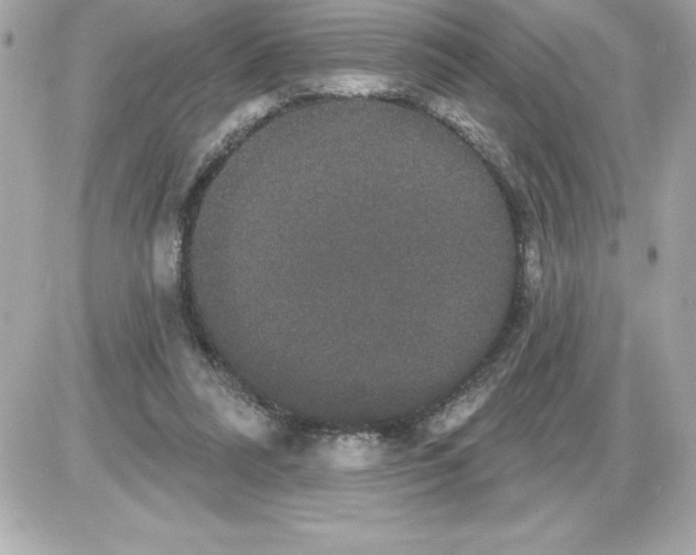 X0000085220304200704091939