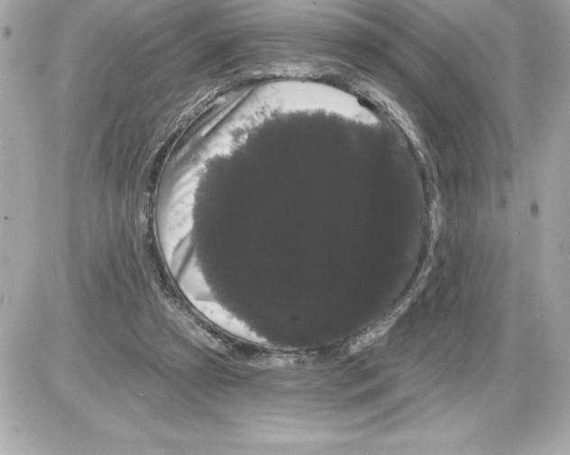 X0000085220305200704091939