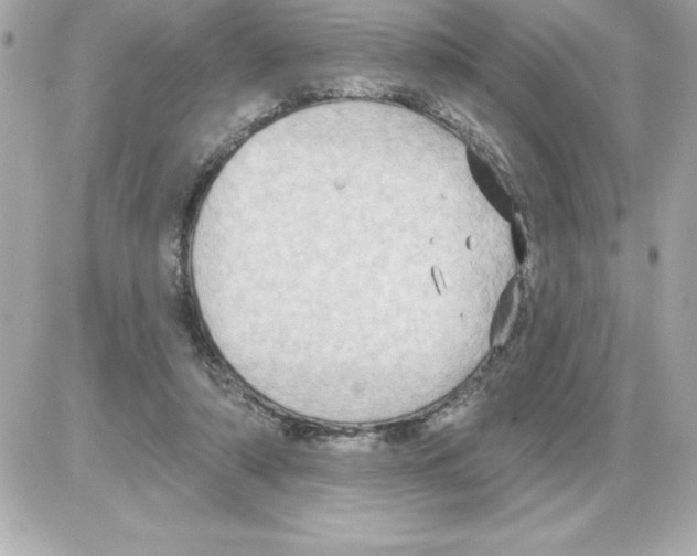 X0000085220306200704091939