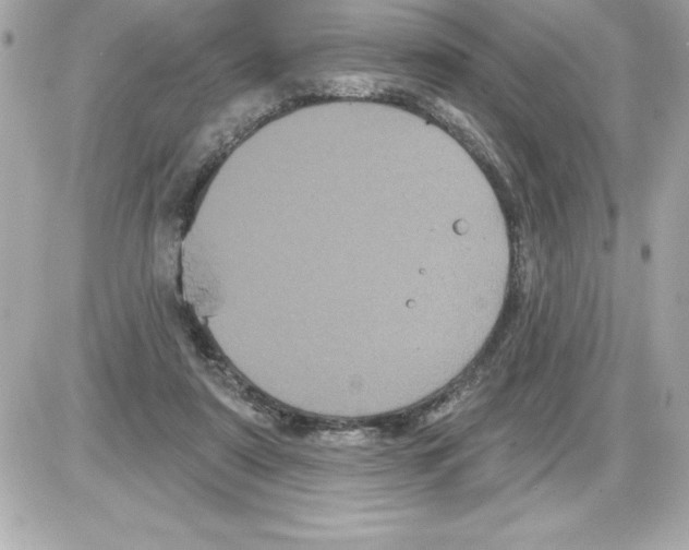 X0000085220307200704091938