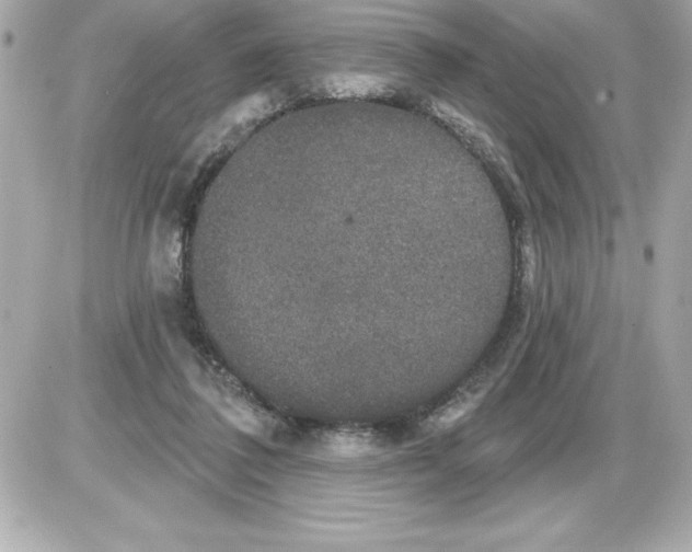 X0000085220308200704091938