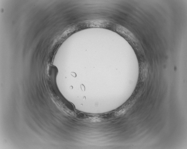 X0000085220310200704091938