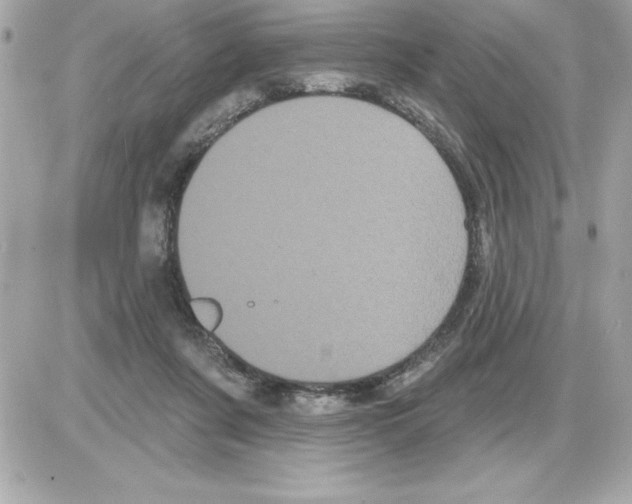 X0000085220311200704091938