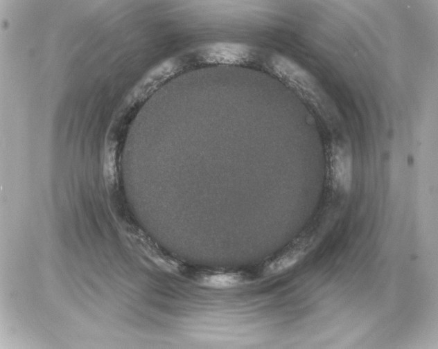 X0000085220312200704091938