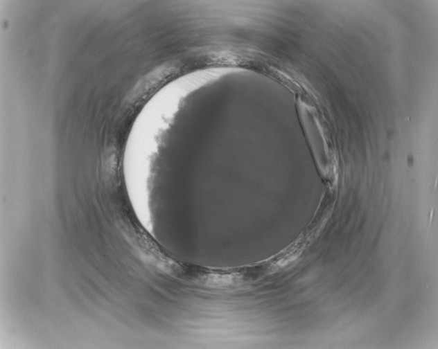 X0000085220314200704091938