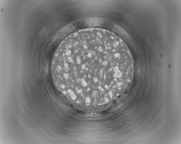 X0000085220315200704091938