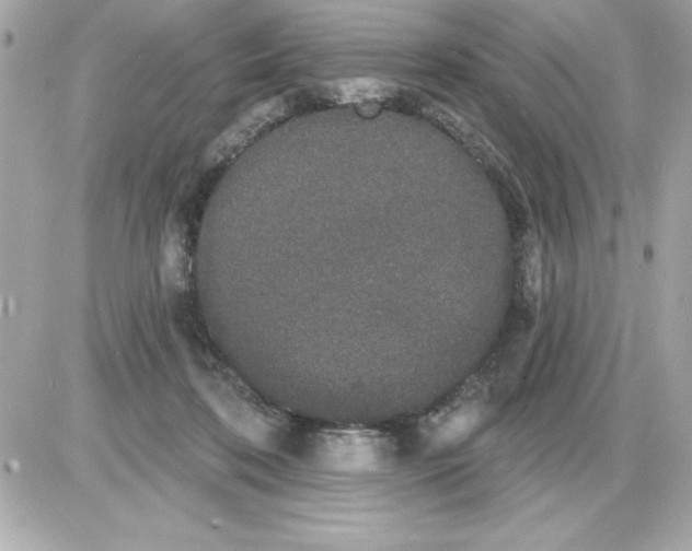 X0000085220316200704091938