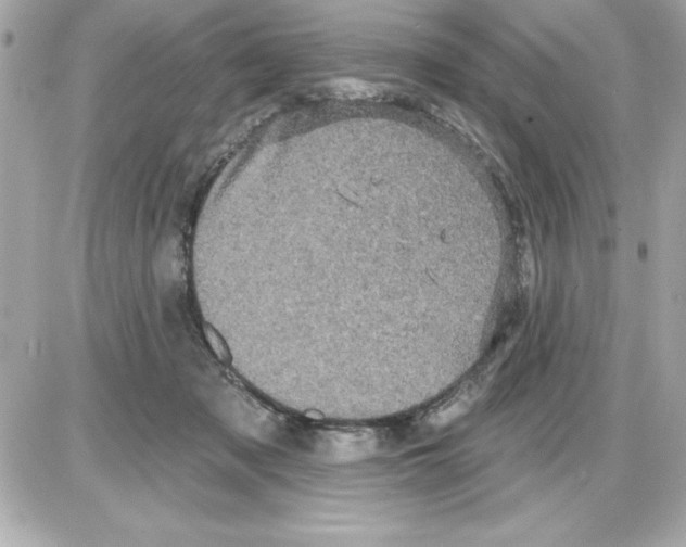 X0000085220317200704091938