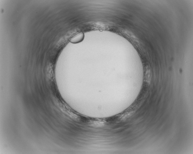 X0000085220318200704091938