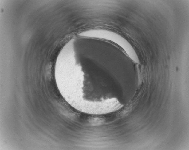 X0000085220319200704091938