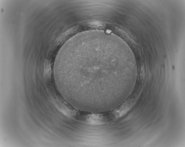 X0000085220320200704091938