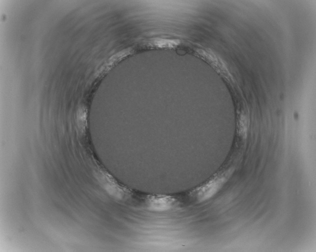 X0000085220321200704091938