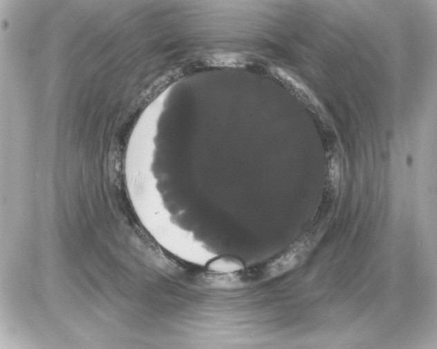 X0000085220322200704091938