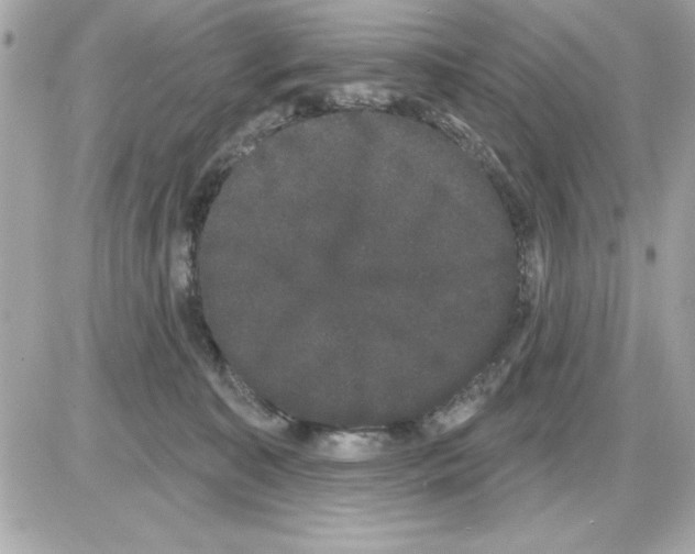 X0000085220323200704091938