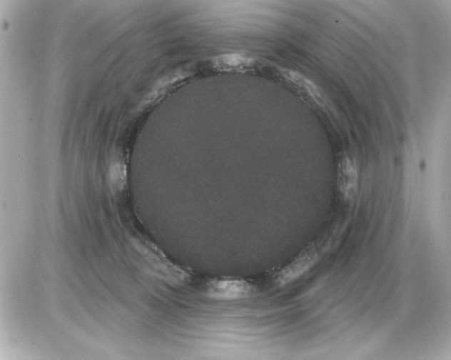 X0000085220324200704091938