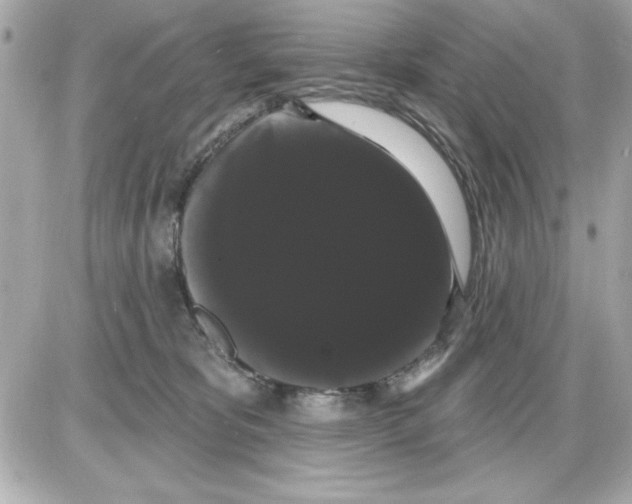 X0000085220325200704091938