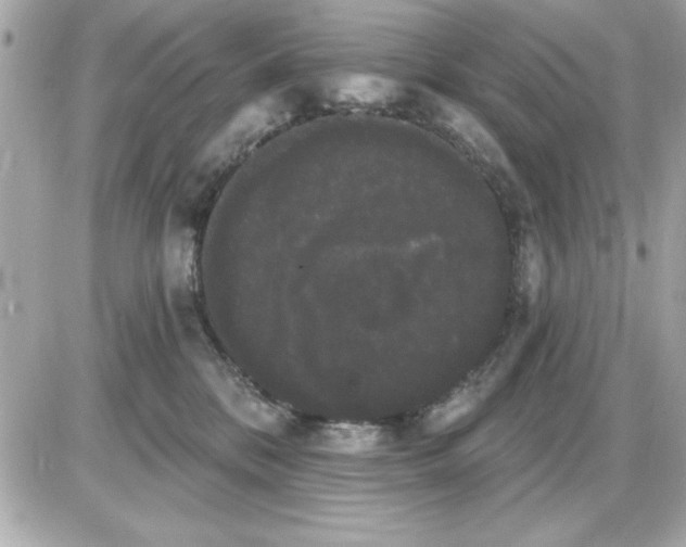 X0000085220328200704091938