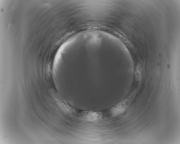 X0000085220330200704091938