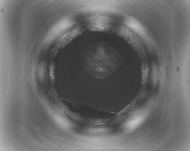 X0000085220331200704091938