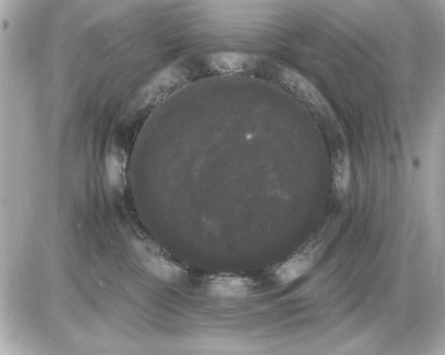 X0000085220332200704091938